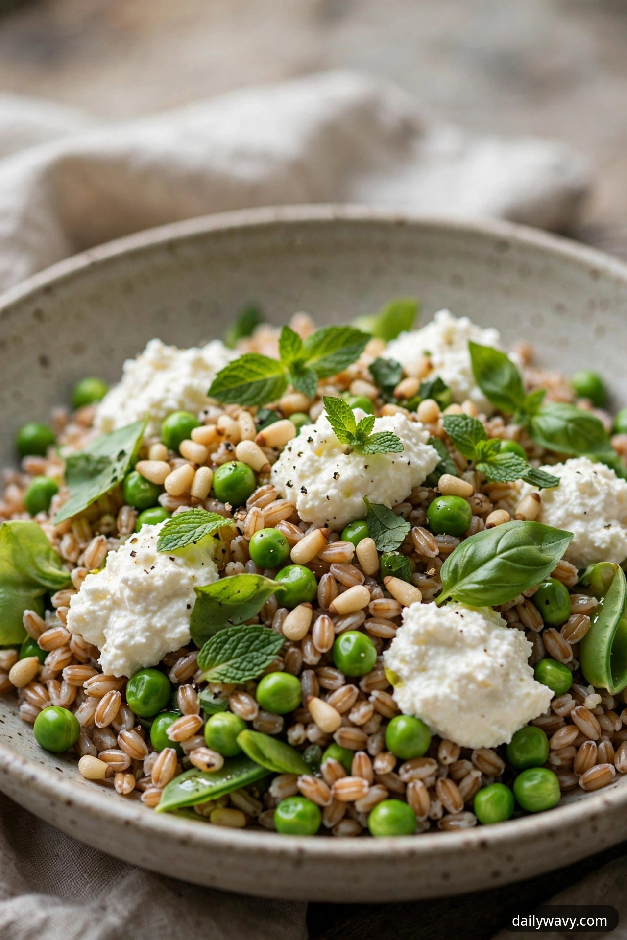 Farro salad with sweet peas, ricotta dollops, fresh mint and pine nuts