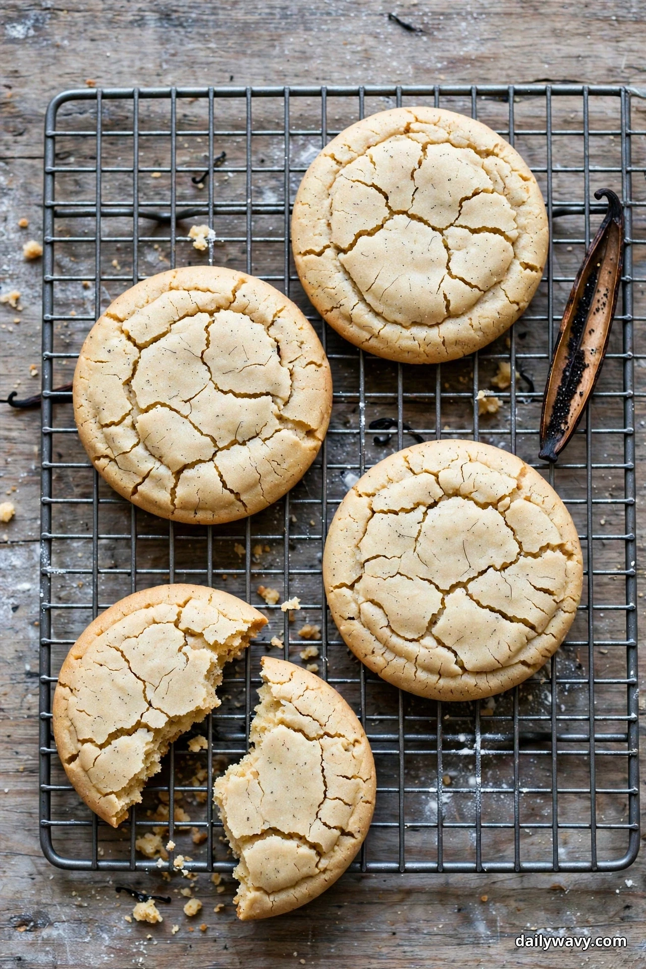 Pale crackled ginger cookies cool on a wire rack with a vanilla bean pod resting beside them, one cookie broken in two